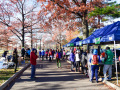 20151121_5KRace_Flushing_010_e