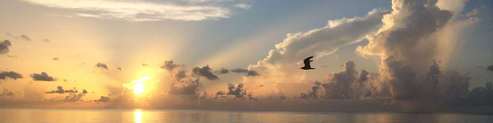 Miami Beach Sunrise